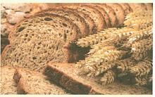 (בספר איור של נוגה ושביט משוחחים)